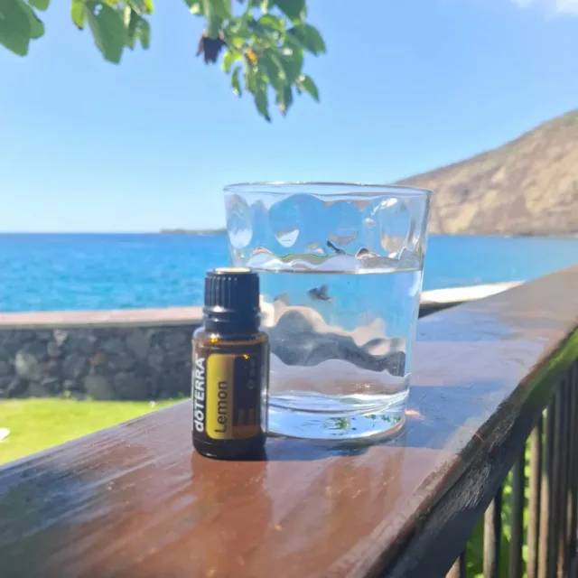 ROUTINEN 
Meine Selbstfürsorge hat mit meinen ganz besonderen Ölen begonnen.  10 Tage Urlaub zum Regenerieren wären mit 4 Kindern in dem Alter damals nicht möglich gewesen.  10 Sekunden Handinhalation,  ein erfrischendes Lemonwasser,  ein Tropfen Weihrauch unter die Zunge, ein Tropfen ätherisches Öl aufs Herz, das war alles so wohltuend und leicht, dass ich fixe Rituale in meinen Mama-Alltag eingebaut habe. 
Alles, was man regelmäßig macht, wird zur Routine und da muss man nicht mehr viel nachdenken. 
Ätherische Öle intensivieren alles, was wir tun. Sie wirken einfach, ob man daran glaubt oder nicht. 
Weihrauch für meine Meditation, Air für meine Atemübungen,  Blütenöle zur Unterstützung für ein offenes,  freies Herz,... Es ist so einfach und wirkt so wunderbar. ❤️
Während ich mein Lemonwasser trinke, wird ein so lieber Mensch von einem anderen Gruppenmitglied mit einer Weihrauch-Öleanwendung einfühlsam versorgt. 💞
Genau darum habe ich meine Öle immer mit. 
Auch hier, mitten im Pazifik. 🌊💚 Auch hier dürfen Sie mich und auch andere unterstützen.  Sie sind Geschenke der Erde und ich fühle mich reich beschenkt, sie in meinem Leben zu haben und sie in die Welt hinaustragen zu dürfen.  Sie ins Leben anderer Menschen zu bringen, die wiederum dankbar sind, solch wunderbare Pflanzenessenzen für Körper, Geist und Seele nützen zu können. 

#weilichsieliebe #doterrawellnessadvocate #essentialoils #öleliebe #geschenkedererde